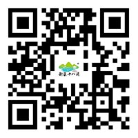 QR коды