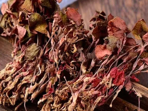 Супер сортты кептірілген Anoectochilus Roxburghii мамандандырылған нарықтарға келеді